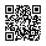 41911 QRCode