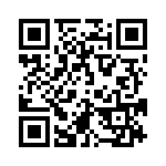 4280-9PG-300 QRCode