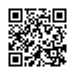 4291-4PG-300 QRCode