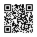 4306R-101-333 QRCode