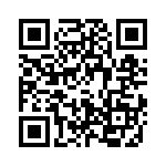 431300-04-0 QRCode