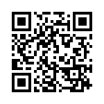 45JR33 QRCode