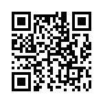 5-1393761-5 QRCode