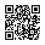 500R14N100JV4T QRCode