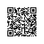 510-87-175-16-001101 QRCode