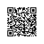 51741-10002407AA QRCode