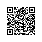 520T25DT13M0000 QRCode