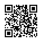 54101-S30-03 QRCode