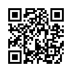 54101-T06-02 QRCode