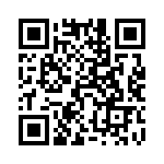 54101-T10-06LF QRCode