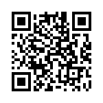 54102-T06-17 QRCode