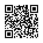 5411-4253-153 QRCode