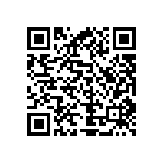 54121-406080800LF QRCode