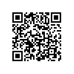 54121-409161750LF QRCode