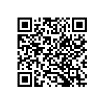 54122-806320800LF QRCode