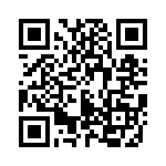 54202-G3006LF QRCode