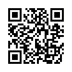 550211T450AH2B QRCode