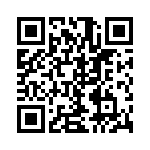 55P QRCode