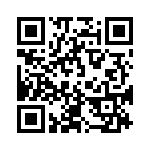 579L300CAT QRCode