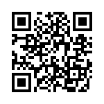 5913101113F QRCode