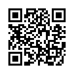 593131313002F QRCode