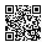 593131313313F QRCode