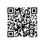 595D397X96R3R2T QRCode