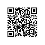 595D687X06R3R2T QRCode