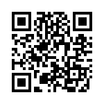 6013R-028 QRCode