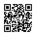 601D337F250JS1 QRCode