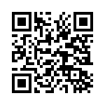 61304011021 QRCode