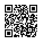 633P13306C2T QRCode