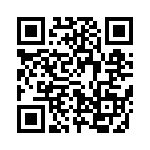 637P17333I2T QRCode