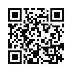 6382-3PG-321 QRCode