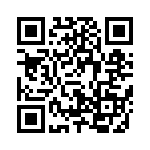 638P156E2I2T QRCode