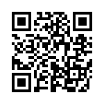 653E13303I2T QRCode