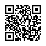 653P12505I2T QRCode