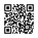 653P13303C3T QRCode