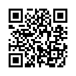 653P8006A2T QRCode