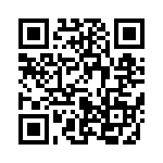 653V21253I2T QRCode