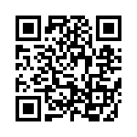 691101710002 QRCode