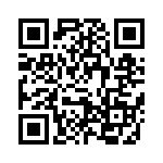 691311500102 QRCode