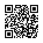 691311700104 QRCode