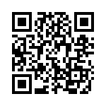 737 QRCode