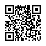 766163821GP QRCode