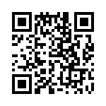 767141333GP QRCode