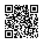 768163824G QRCode