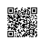 801-87-017-20-001101 QRCode