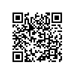 813-22-024-30-004101 QRCode