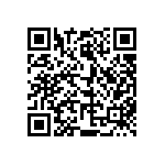 813-22-036-30-001101 QRCode